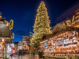 Weihnachtsbaum auf dem Weihnachtsmarkt