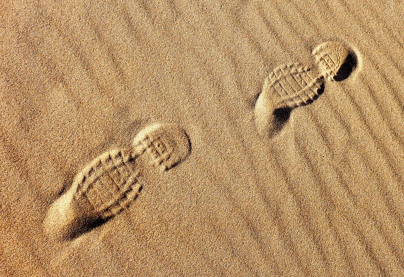 Trace-Land 2 (Natuurkleuren) by Caroline Lichthart