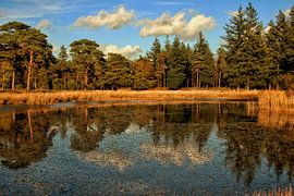 Nationalpark De Hoge Veluwe von Arnoud van der Meer