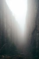 Foggy canyon