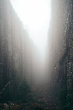 Mistige canyon van Floris Verweij