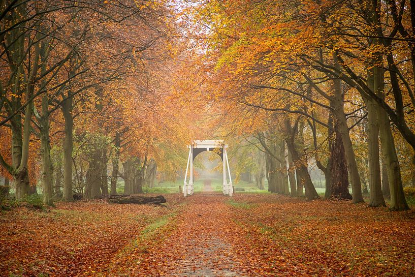Die Brücke in Ennemaborg von Peter Kuipers