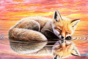 Ruhender Fuchs im Abendlicht von Imperial Art House