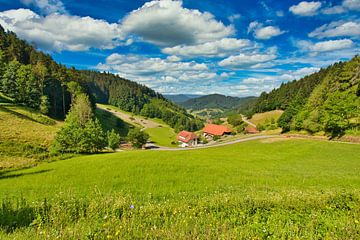Sommerlandschaft im Schwarzwald von Tanja Voigt