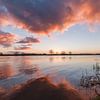 Sonnenuntergang über dem Rhein von Hans Hoekstra