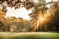 Sunrise on cold winter day