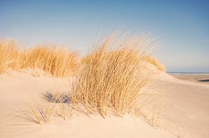 Strand op het eiland Schiermonnikoog in de Waddenzee van Sjoerd van der Wal Fotografie