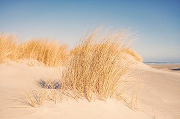 Strand op het eiland Schiermonnikoog in de Waddenzee