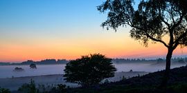 Lever de soleil sur un paysage de bruyère sur Sjoerd van der Wal Photographie