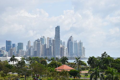 Uitzicht op de stad vanaf het park