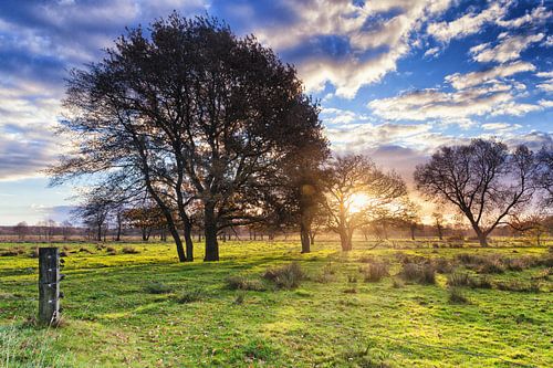 Sunrise over hedgerow landscape in Drenthe