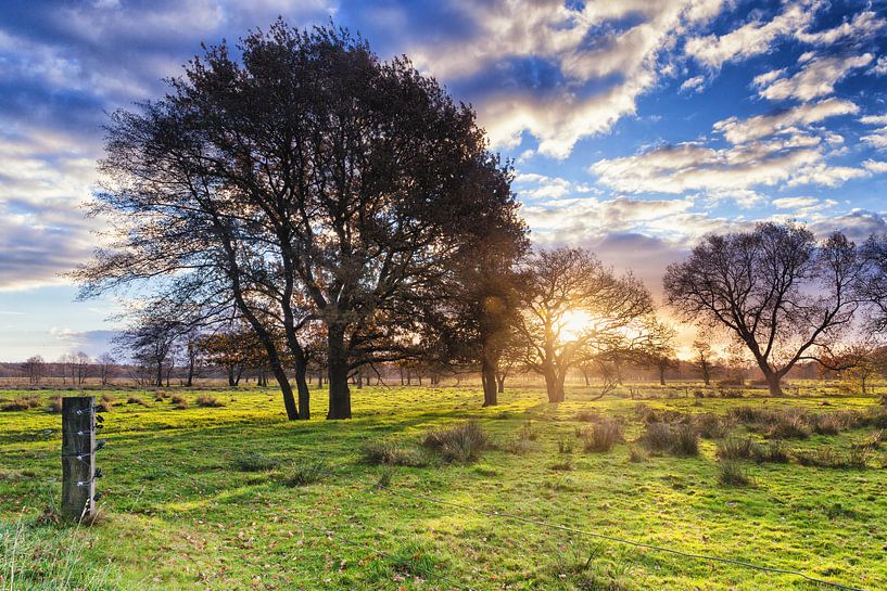 Sonnenaufgang über einer Heckenlandschaft in Drenthe von Evert Jan Luchies