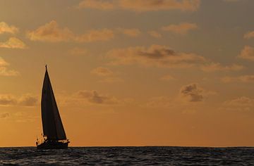 ORANGE SAILING YACHT by Sybrand Treffers