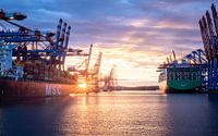 Sonnenuntergang im Hamburger Hafen
