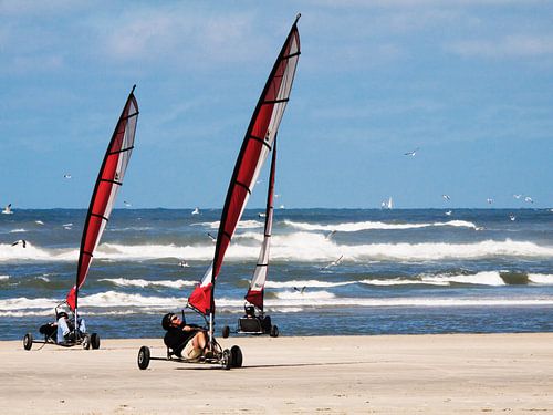 Strandzeilers op Terschelling
