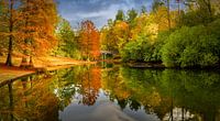 Park Wandelbos in Tilburg im Herbst von Dennis Donders Miniaturansicht