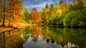 Park Wandelbos in Tilburg im Herbst von Dennis Donders