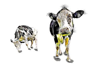 Grappige koe van Peter Roder