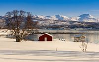 Winter auf der Insel Senja, Norwegen von Adelheid Smitt Miniaturansicht