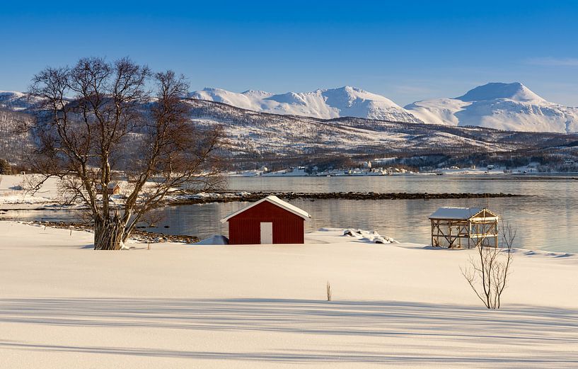 Winter auf der Insel Senja, Norwegen von Adelheid Smitt