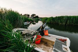 Fischerboot im Schilf by Matthias Nolde