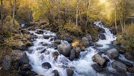 Rauschende Wasserfälle plätschern durch das leuchtende Herbstlaub in einer ruhigen Umgebung von PhotoCluster