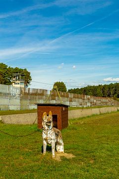 Spaziergang auf dem Kolonnenweg in der Nähe der Gedenkstätte Point Alpha von Oliver Hlavaty