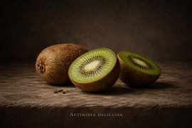 Kiwi, Actinidia deliciosa