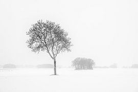 Winterlandschaft in der Umgebung von Wouw von Hans Lunenburg