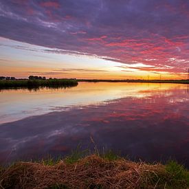 Sonnenuntergangsregion Rotterdam, Niederlande von Stefan Vis
