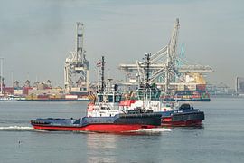 De sleepboten VB Schelde en RT Rob in het Beerkanaal. van Jaap van den Berg