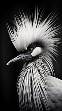 Vogelportret in zwart-wit van Thilo Wagner