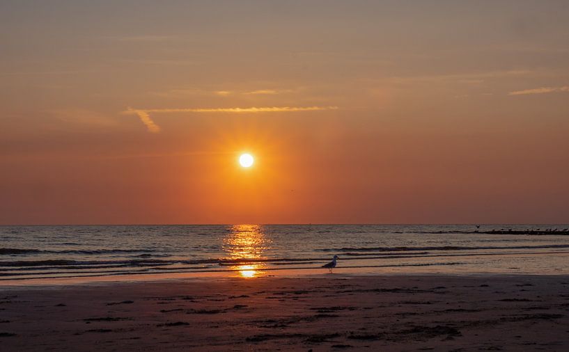 Sonnenuntergang am Strand von Natascha Worseling