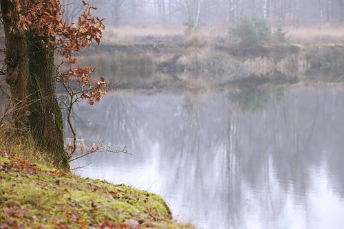 Stilles Wasser. Wenig Wind von F.H. van Dijk