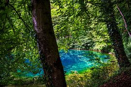 Souabe : Le pot bleu sur Photoart-Naegele