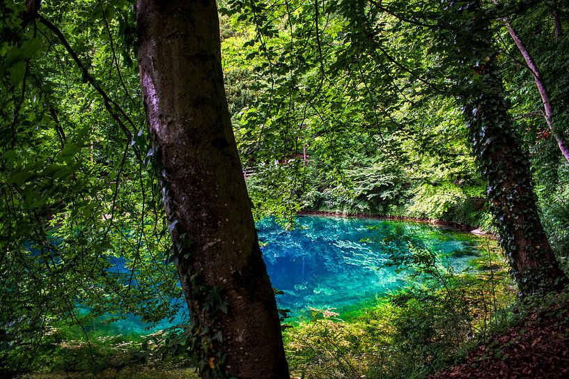 Swabia : The Blue Pot by Photoart-Naegele