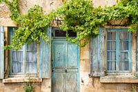 windows and vines of old house in Morvan, France