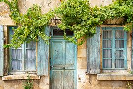 windows and vines of old house in Morvan, France by Jan Fritz