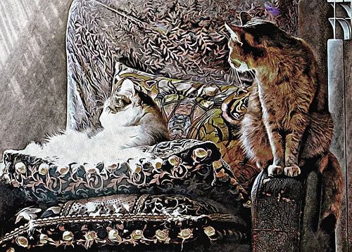 De rij voor het kussen in de zon...