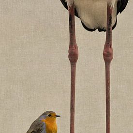 Rotkehlchen auf Störchenbeinen – Surrealistische Vogelkunst im minimalistischen Stil von Emiel de Lange