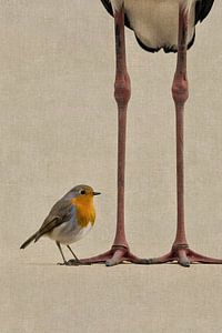 Rotkehlchen auf Störchenbeinen – Surrealistische Vogelkunst im minimalistischen Stil