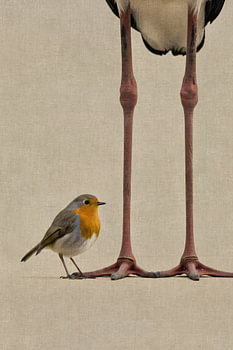 Robin on Stork Legs – Surrealistic Bird Art in Minimalist Style