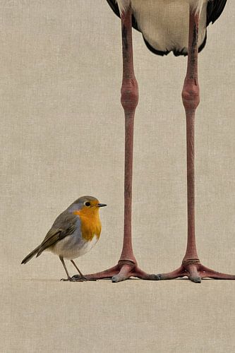 Roodborstje op Ooievaarspoten – Surrealistische Vogelkunst in Minimalistische Stijl