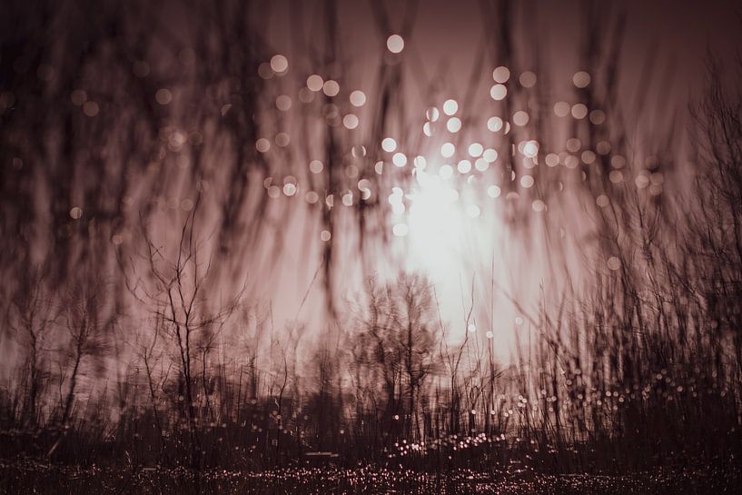 Fantastical Fairytale by audreyhoubenfotografie