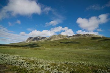 Der wunderschöne Hallingskarvet und der Berg Prestholt in Norwegen