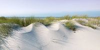 Ein Sommertraum