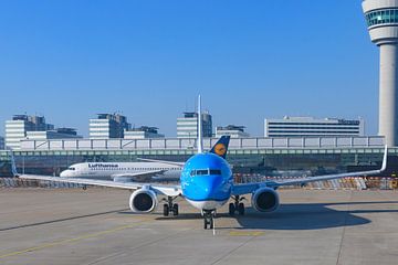 KLM-Flugzeug auf dem Flughafen Amsterdam Schiphol in Holland von Sjoerd van der Wal