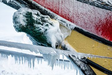 Frozen figurehead on sailing ship Northern Lights by Martijn Smeets