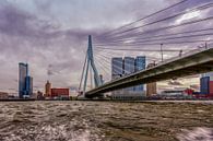 Skyline Rotterdam par Marcel Moonen @ MMC Artworks Aperçu