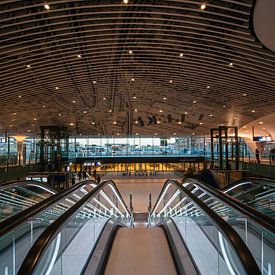 De kaart op het plafond van treinstation Delft van Michael Echteld